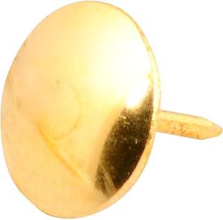 Percevejo Latonado Vonder.