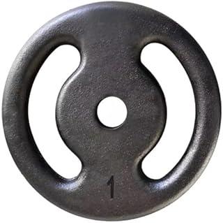 Anilha Pintada Peso Academia Musculação 1 Kg