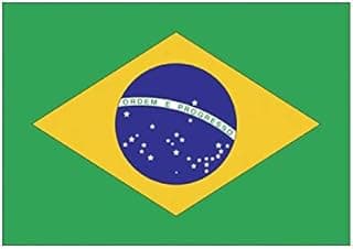 Adesivo Bandeira do Brasil Verde e Amarelo Vinil Retangular 8cm x 10cm Uso Único Externo Parede Nacional Bandeira do Brasil