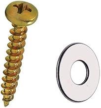 Parafuso Chipboard Cabeça Panela 4,0x40 Com Arruela - 100 Peças