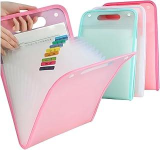 Pasta Organizadora A4 12 Divisórias Ideal para Estudantes Escritório e Concursos Presente Volta às Aulas e Profissionais por Elástico e Etiquetas Organize Documentos (Rosa)