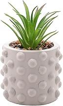 WOLFF - Cachepot de Cimento com Suculenta Bubbles Cinza Claro 7,5cm x 10,5cm