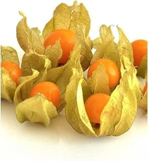 Semente Fisalis Goldenberry 700mg - Feltrin
