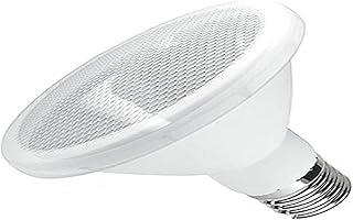 PAR30 LED IP65 10W 2700K 127V/220V