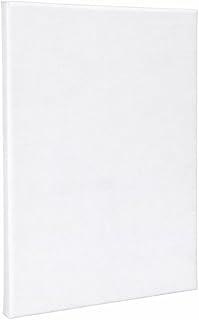 Tela para Pintura 20x30 cm em Algodão com Chassi de Madeira – Canvas Branco Esticado para Tinta Acrílica, Óleo e Guache – Ideal para Artistas, Estudantes e Artesanato