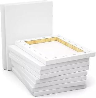 Kit 10 Tela de Pintura 20x30cm sem Cavalete Branca Moldura de Madeira