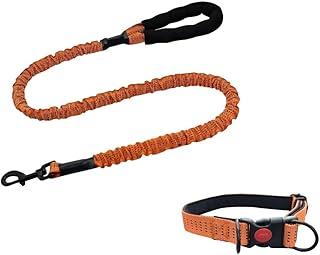 Kit Guia Elástica com Coleira para Cachorro, Nylon Reforçado, Sistema Anti-Impacto, Amortecedor Elástico, Trava de Segurança, Alça Antiderrapante, Ideal para Cães Médios e Grandes (laranja)