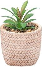WOLFF - Cachepot de Cerâmica com Suculenta Trançado 10cm x 10cm X 15cm