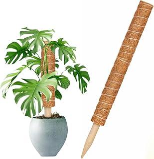 Tutor Fixo de Fibra de Coco para Plantas - Top Garden (60cm)