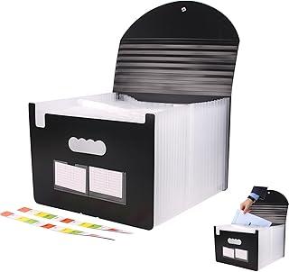 Pasta Sanfonada Organizadora A4 com 25 Bolsos e Divisórias - Pasta Dobrável para Documentos, Recibos Fiscais e Contas Mensais - Inclui Etiquetas em Branco (transparente)