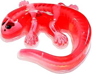 Candide, Dissect-It, Kit de Dissecação com Refil, Acompanha Acessórios - Salamandra