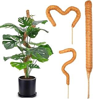 Tutor de Plantas Flexível de Fibra De Coco Estaca Maleável - Top Garden (60cm)