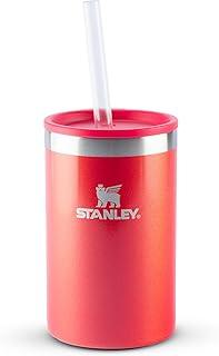 Stanley Can Cooler Candy Apple Shimmer | 296ml