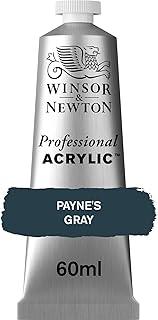 Winsor & Newton Cor acrílica profissional, tubo de 60 ml (60 ml), cinza Payne