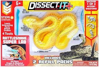 Candide, Dissect-It Super Lab, Kit de Dissecação, Acompanha Acessórios - Cobra