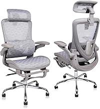 YESOP Cadeira Ergonômica Malha Respirável Apoio Lombar Ajustável Para Cima E Para Baixo Premium Cinza