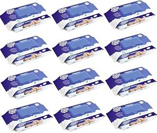 PACK TOALHA UMEDECIDA BABY BYN PREMIUM UNIDADES COM TAMPA FLIP TOP (1200 Un (12x100))