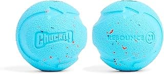 Chuckit! Bola Rebounce 20320 Média Pacote Com 2 Azul E Roxo