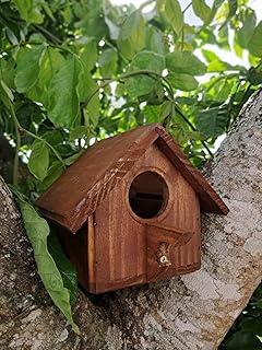 Casinha de Passarinho de Madeira Maciça, 12x12x14cm, Pintada à Mão Cor Imbuia.