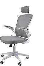 Cadeira Ergonômica Eurynom, Giratória, para Escritório e Home Office, com Encosto Reclinável, Braços Pivotantes, Apoio de Cabeça, Apoio Lombar (Cinza)