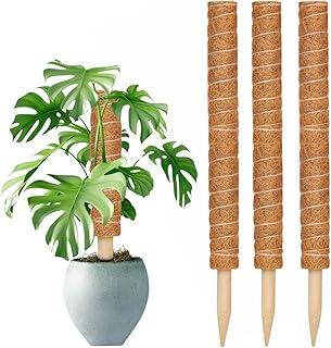 Kit 3 Tutor de Plantas de Fibra De Coco Estaca Fixa - Top Garden (60cm)