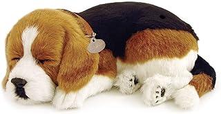 Filhote de Cachorro Beagle, Perfect Petzzz