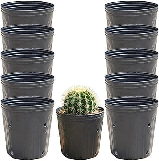 Kit 10 Vaso Embalagem 1 Litros Flexível para Flores, Frutíferas, Ornamentais, Mudas e Outras | Leve e Resistente, Plástico Reciclável Ecológico