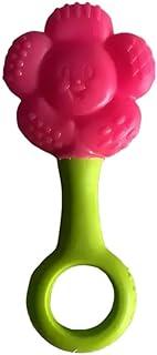 Pais e Filhos Fofiflor - Mordedor E Chocalho