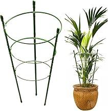 Suporte Para Plantas Tutor Gaiola (45cm)
