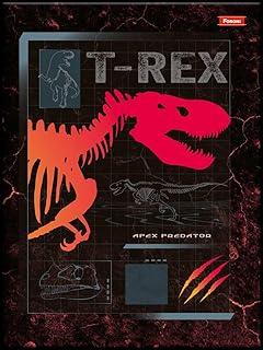 Caderno Brochurao Capa Dura Sauros 80F Pct Com 05 110551